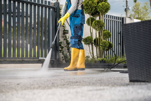 Best Driveway Pressure Washing  in Hurricane, WV